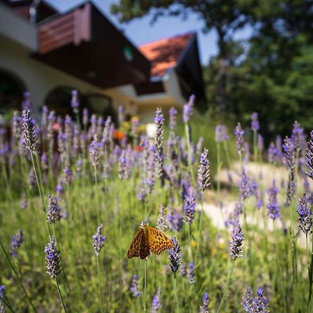 Zseri Vadaszhaz Fehérvárcsurgó Exteriör bild